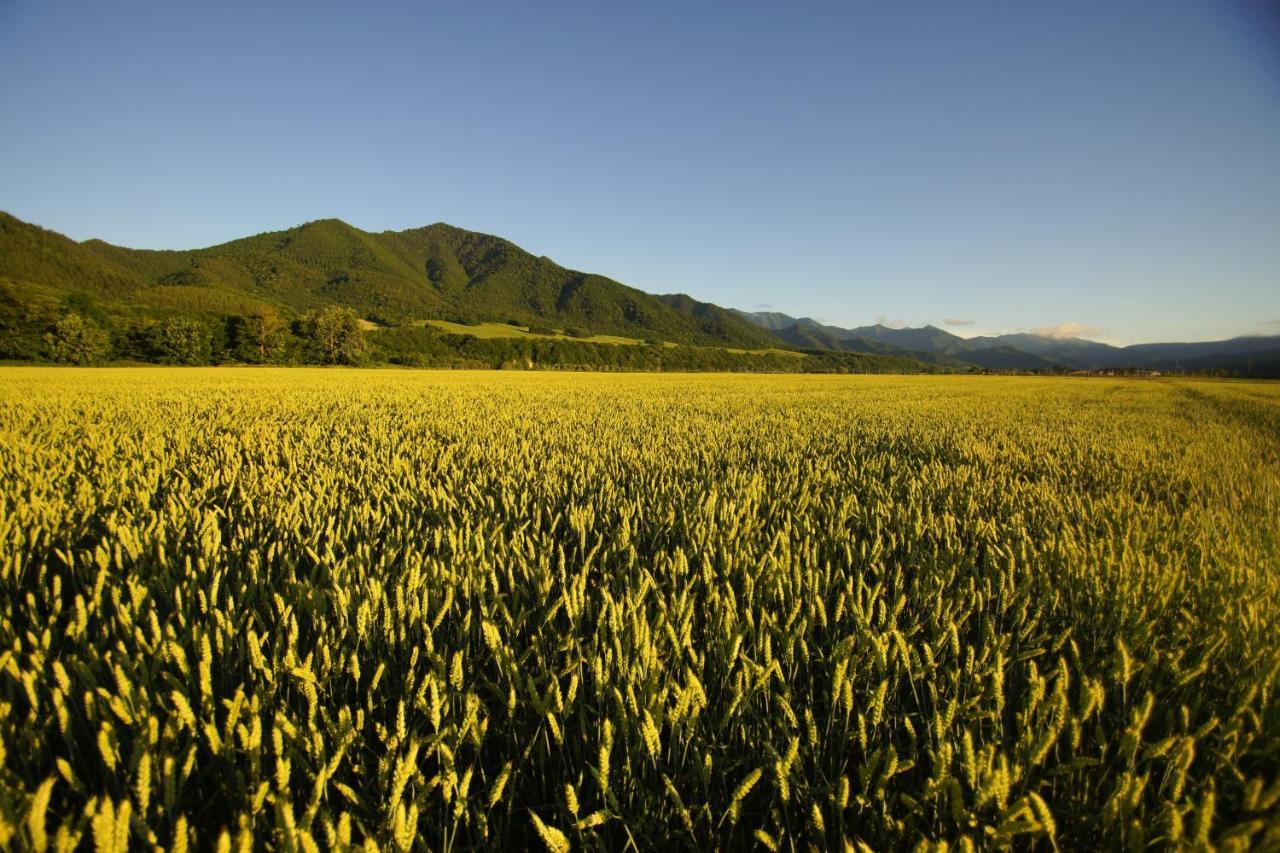 Farm Stay Ezura Farm Engaru Zewnętrze zdjęcie