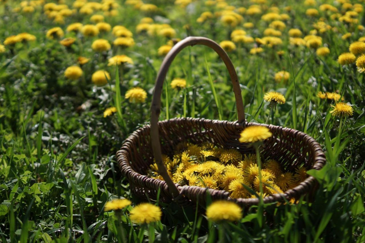 Farm Stay Ezura Farm Engaru Zewnętrze zdjęcie