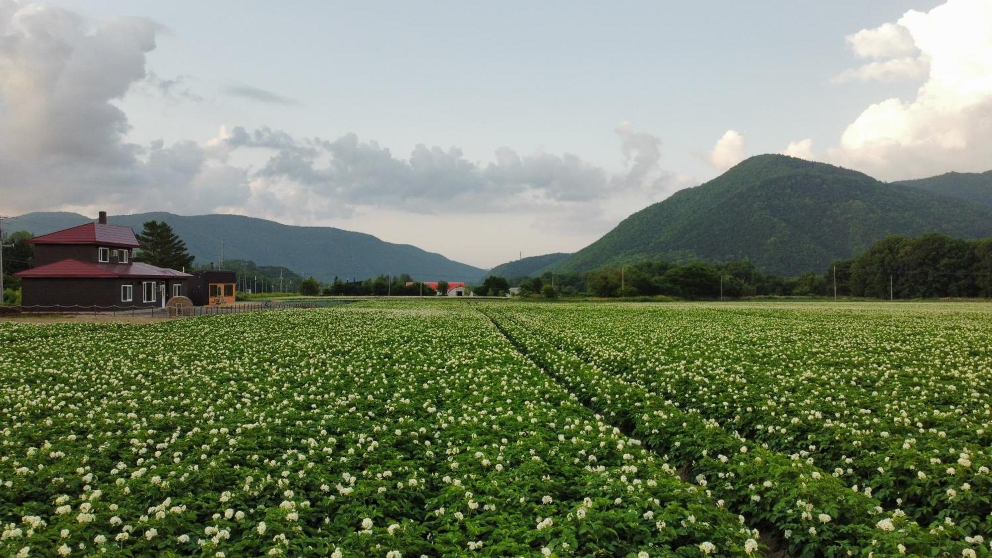 Farm Stay Ezura Farm Engaru Zewnętrze zdjęcie